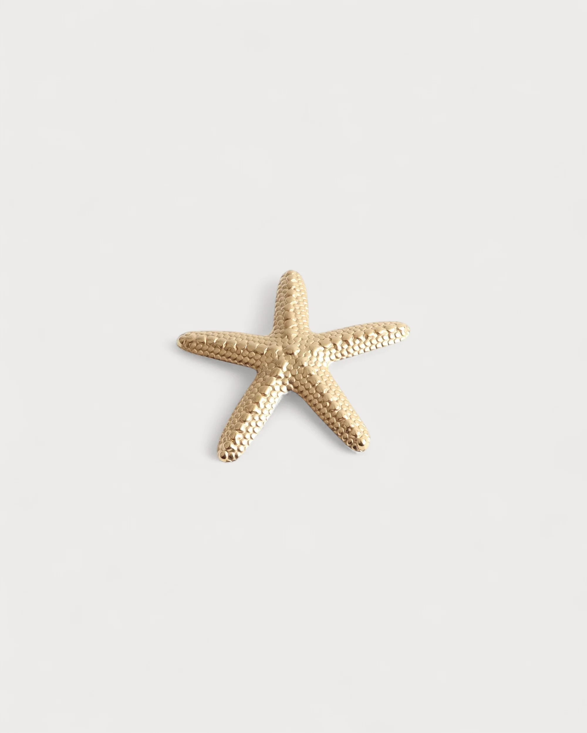 Étoile de mer - Broche - Acier inoxydable